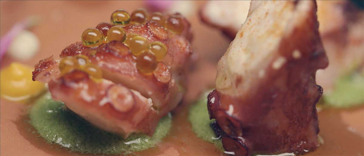 pulpo