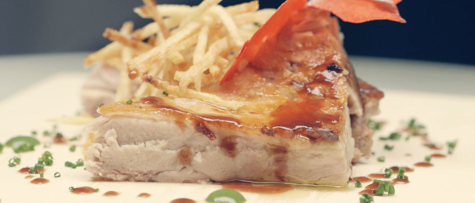 cochinilloweb